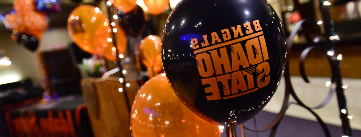 Graduation balloons with Black/Orange balloons with Bengals Idaho State lettering